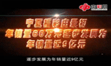 公益福彩绘宁夏 宁夏彩票发展纪实