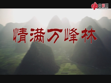 公益微电影《情满万峰林》