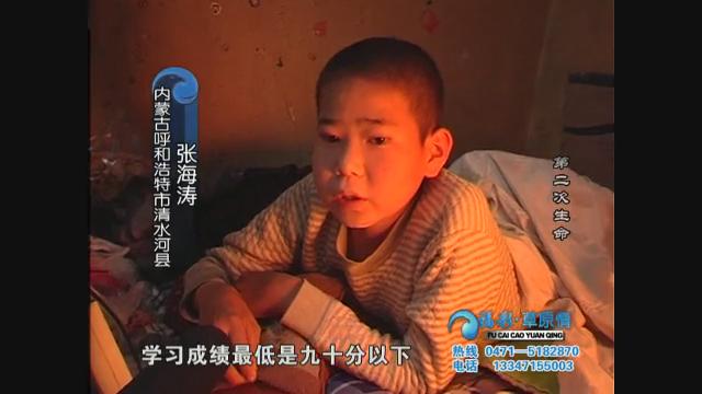 《第二次生命》
