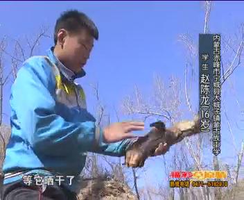 《当家少年》