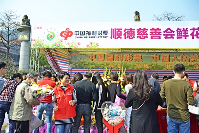 顺德公益1
