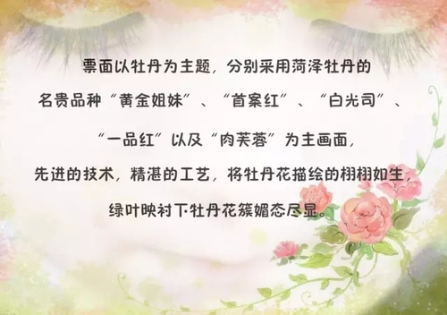 640.webp (1)