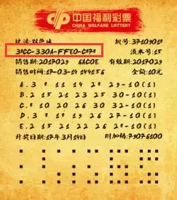 640 (1).webp (5)