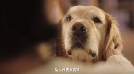 QQ截图20180125143803