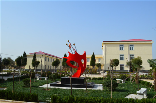 图片10
