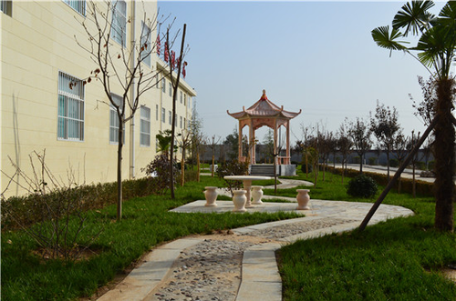 图片12