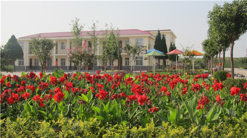 图片14