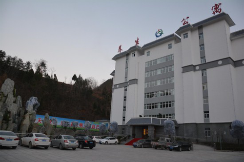 图片1