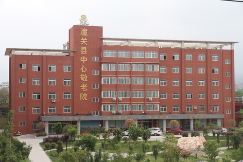 图片5