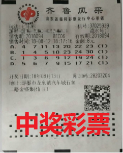山东5