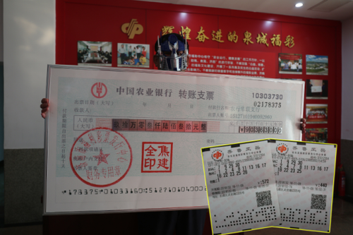 山东6