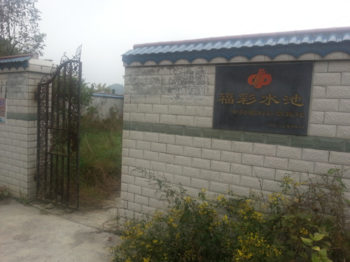 图片2
