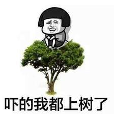 18487752