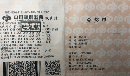 陇南二等奖
