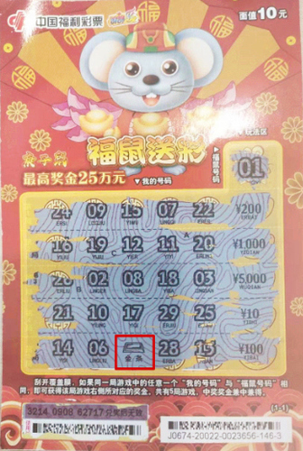 06